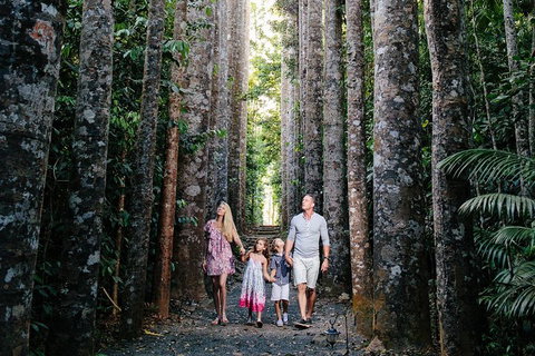 The Original Day Tour To Paronella Park, Lake Barrine And Millaa Millaa Falls - Timeshare Accommodation 1