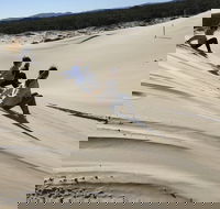 Port Stephens Bush Beach and Sand Dune 4WD Tag-Along Tour - Timeshare Accommodation