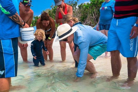 Whitehaven Beach And Hamilton Island Cruise - Timeshare Accommodation 1