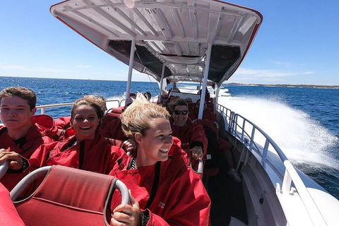 Adventure Rottnest Tour With Ferry & Adventure Cruise From Perth Or Fremantle - Timeshare Accommodation 0