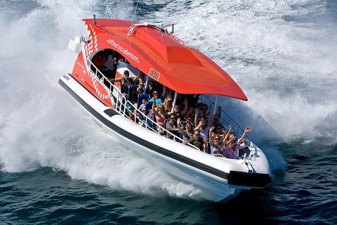 Adventure Rottnest Tour With Ferry & Adventure Cruise From Perth Or Fremantle - Timeshare Accommodation 2