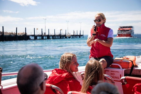 Adventure Rottnest Tour With Ferry & Adventure Cruise From Perth Or Fremantle - Timeshare Accommodation 4