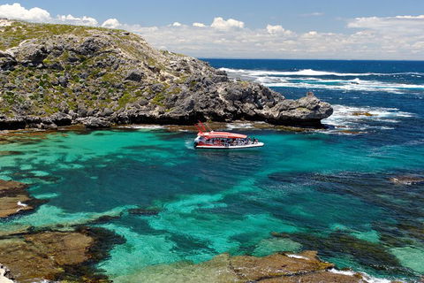Adventure Rottnest Tour With Ferry & Adventure Cruise From Perth Or Fremantle - Timeshare Accommodation 5