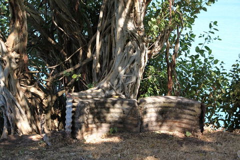 Darwin Walking Tour: World War II Reflections - Timeshare Accommodation 3