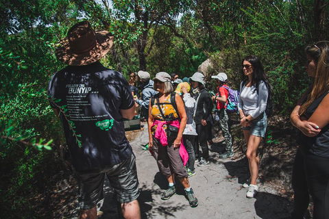 Wilsons Promontory Day Trip From Melbourne - Timeshare Accommodation 2