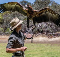 One Day Kangaroo Island Sip  See tour with return ferry transfers from Adelaide - Timeshare Accommodation
