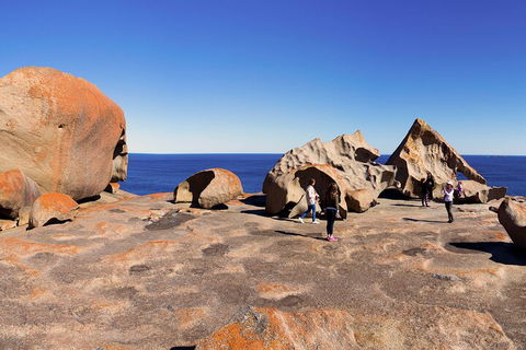 Full-Day Kangaroo Island Experience Departing From Kangaroo Island - Timeshare Accommodation 4