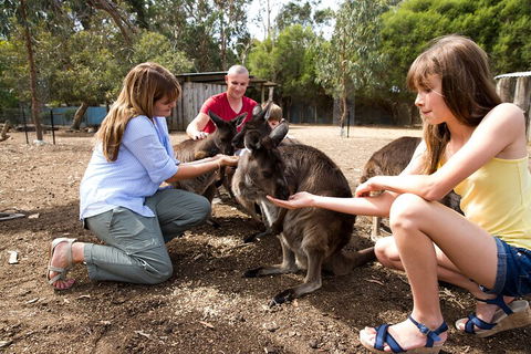 Full-Day Kangaroo Island Experience Departing From Kangaroo Island - Timeshare Accommodation 5