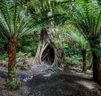 Adelaide to Melbourne 3-Day Trip through Grampians and Great Ocean Road - Timeshare Accommodation