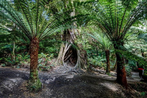 Adelaide To Melbourne 3-Day Trip Through Grampians And Great Ocean Road - Timeshare Accommodation 0