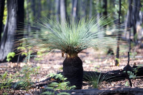 Adelaide To Melbourne 3-Day Trip Through Grampians And Great Ocean Road - Timeshare Accommodation 4