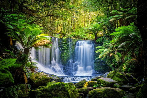 Day Tour In Mt. Field, Mt. Wellington, Bonorong Wildlife Sanctuary And Richmond - Timeshare Accommodation 0