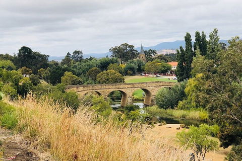 Day Tour In Mt. Field, Mt. Wellington, Bonorong Wildlife Sanctuary And Richmond - Timeshare Accommodation 3