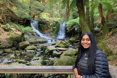 Day Tour In Mt. Field, Mt. Wellington, Bonorong Wildlife Sanctuary And Richmond - Timeshare Accommodation 5