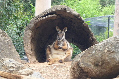 Featherdale Wildlife Park General Admission - Timeshare Accommodation 2