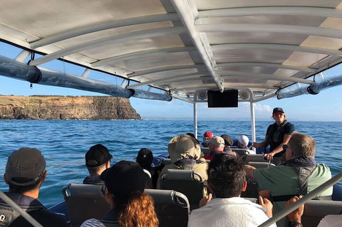 Julian Rocks Byron Bay Cruise - Timeshare Accommodation 4