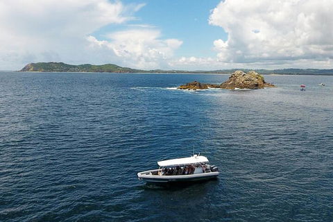 Julian Rocks Byron Bay Cruise - Timeshare Accommodation 5