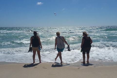 Very Best Of Perth Tour - Wildlife Park & City Highlights Tour - Timeshare Accommodation 5