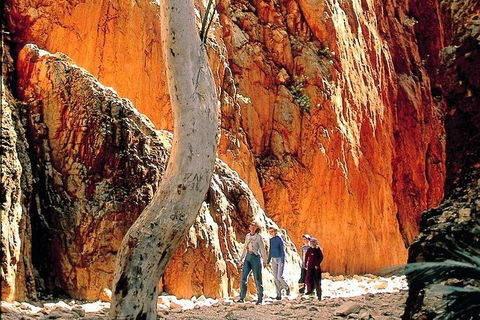 West MacDonnell Ranges Day Trip From Alice Springs - Timeshare Accommodation 3