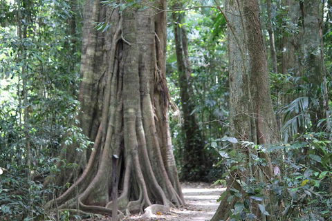 Noosa And Sunshine Coast Hinterland Day Trip From Brisbane - Timeshare Accommodation 3