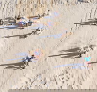 Unlimited Sandboarding - Timeshare Accommodation