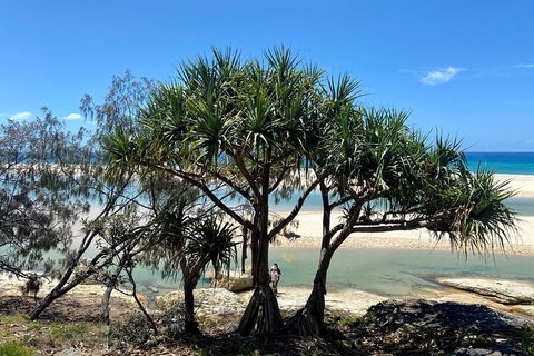 Full-Day Small Group Tour To North Stradbroke Island - Timeshare Accommodation 5