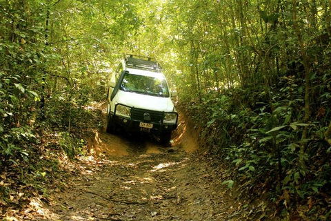 Barron Gorge And Kuranda National Park Half Day Rainforest And Waterfall 4WD Tour From Cairns - Timeshare Accommodation 2
