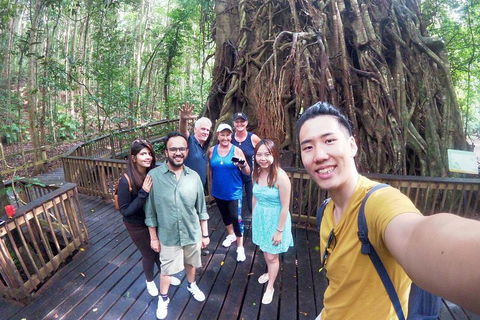 Barron Gorge And Kuranda National Park Half Day Rainforest And Waterfall 4WD Tour From Cairns - Timeshare Accommodation 5