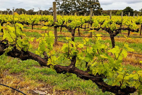 Margaret River Indulge And Discover Day Tour - Timeshare Accommodation 5