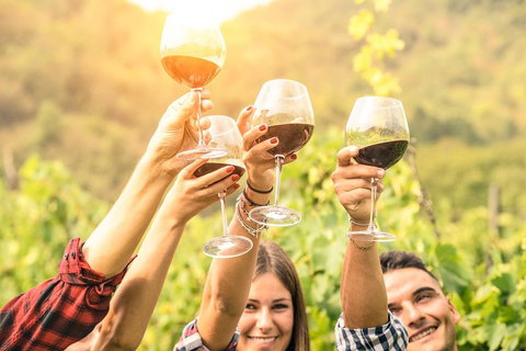 Adelaide Hills Day Tour. Winery Cellar Doors - Timeshare Accommodation 0