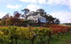 Adelaide Hills Day Tour. Winery Cellar Doors - thumb 4