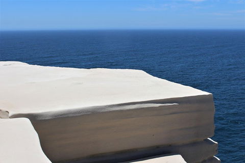 Royal National Park Tour - Timeshare Accommodation 0