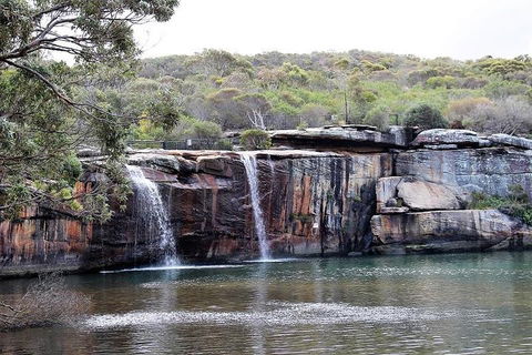 Royal National Park Tour - Timeshare Accommodation 1