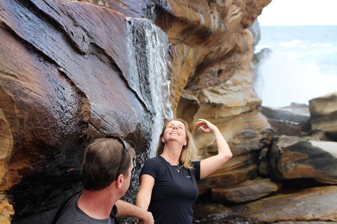 Royal National Park Tour - Timeshare Accommodation 4