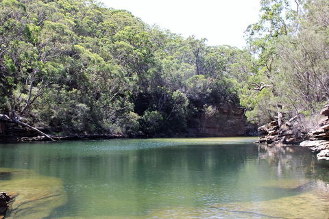 Royal National Park Tour - Timeshare Accommodation 5