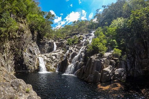 Behana Canyon Rainforest And Waterfall Experience - Timeshare Accommodation 5