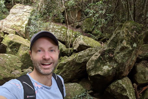 Australian Wildlife & Waterfalls Private Tour With 'Personalised Sydney Tours' - Timeshare Accommodation 4