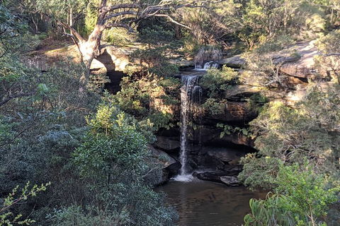 Australian Wildlife & Waterfalls Private Tour With 'Personalised Sydney Tours' - Timeshare Accommodation 5