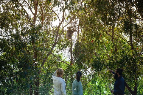 LGBT+ Friendly 3 Day Tour The Grampians, Daylesford & Ballarat - Timeshare Accommodation 4