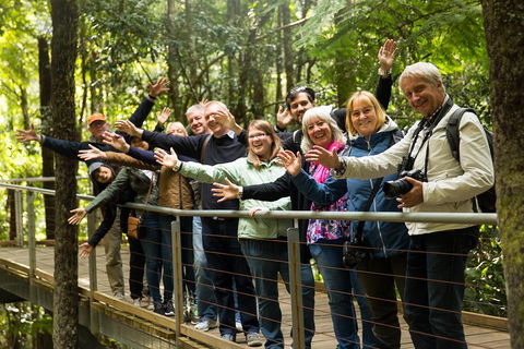 All Inclusive Blue Mountains Small-Group Day Trip From Sydney - Timeshare Accommodation 5