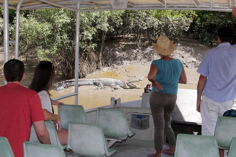 Whitsunday Crocodile Safari Including Lunch - Timeshare Accommodation 4