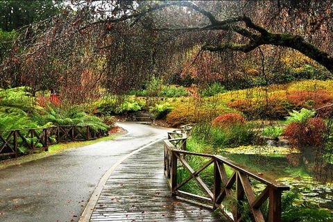 Discover Tour: Dandenong Ranges & William Ricketts Sanctuary - Timeshare Accommodation 3