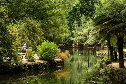 Discover Tour: Dandenong Ranges & William Ricketts Sanctuary - Timeshare Accommodation 4
