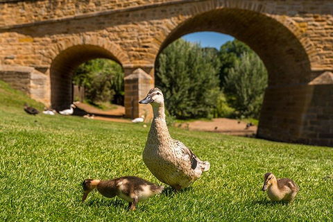 Richmond Historic Afternoon Tour From Hobart - Timeshare Accommodation 1