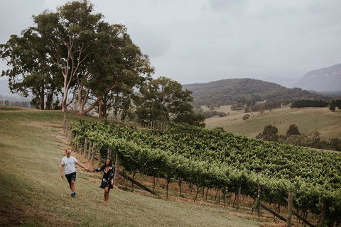 Luxury Blue Mountains Tour With Aussie BBQ Lunch And Wine Tasting - Timeshare Accommodation 3