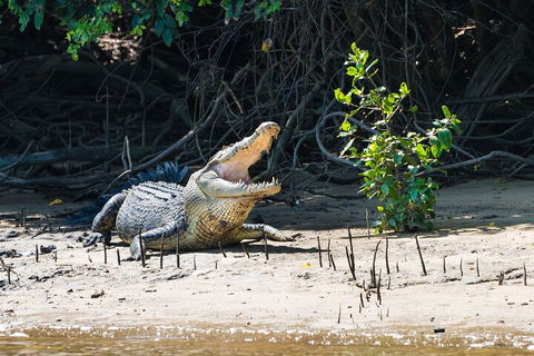 Full Day Cooktown Private Tour - Timeshare Accommodation 4