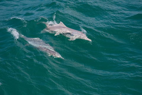 North Stradbroke Island Private Tour With Pickup - Timeshare Accommodation 0