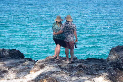 North Stradbroke Island Private Tour With Pickup - Timeshare Accommodation 4