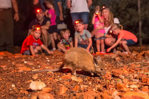 Alice Springs Desert Park Nocturnal Tour - Timeshare Accommodation 1