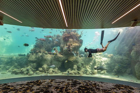 Whitehaven Beach And Daydream Island Cruise - Timeshare Accommodation 4